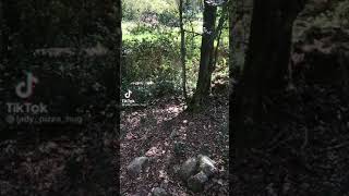 【エチエチ】なんのコスプレかを当てろ①