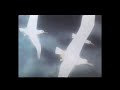 What If Hollywoodedge Seagulls No Surf BT022101 Was In The Little Mermaid