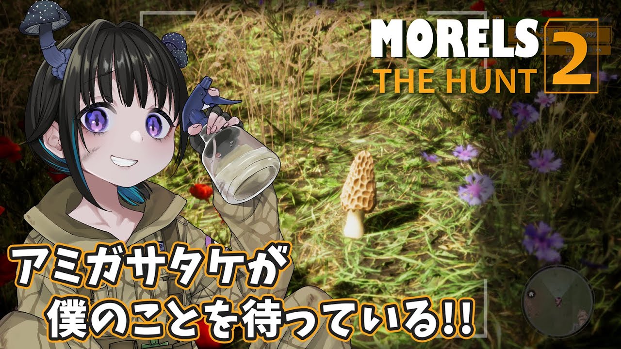 【Morels: The Hunt 2 / #32】アミガサ狩りの時間じゃ～～！🍄【奇ノ駒たんご/#vtuber】