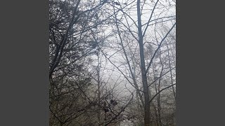 Cover art for Silent Hill 3 Mall Scene