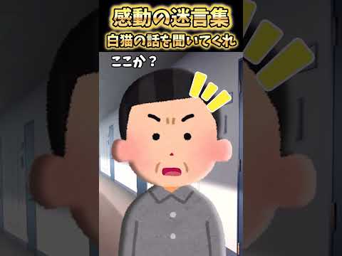 なぜかベランダによく白猫が遊びに来て…【感動】