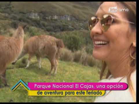 Parque Nacional El Cajas una opción de aventura para este feriado