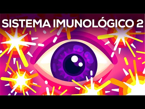 Bombinhas no seu sangue – O Sistema complemento