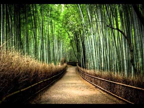 Sura Kahf with English Audio Translation - Muhammad Ayyub