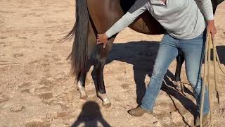 Video 1
