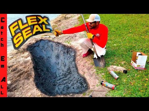 download lagu mp3 mp4 Pond Flex, download lagu Pond Flex gratis, unduh video klip Pond Flex