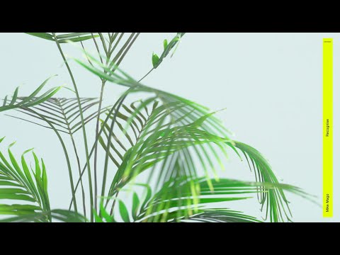 Mike Mago - Recognise