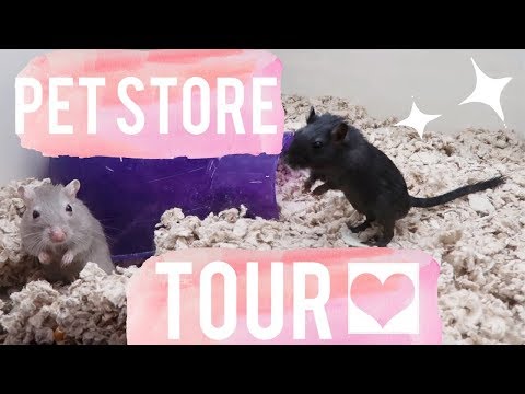 Pet Supply Plus