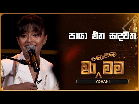 Paya Ena Sandawatha (පායා එන සඳවත) | Yohani | Ma Nowana Mama | TV Derana