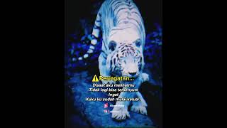 Download lagu Story wa macan putih marah. pasti ini yang kalian cari hayyooo ngaku😆 #shorts mp3 Download lagu Story wa macan putih marah. pasti ini yang kalian cari hayyooo ngaku😆 #shorts mp3