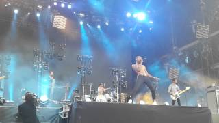 Skip the use - Main Square - Birds are born to fly