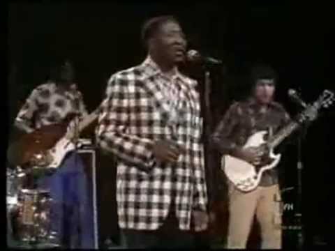 MUDDY WATERS with HOLLYWOOD FATS ~ 1973.