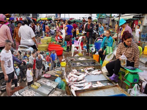 Amazing Site Distribute Fish & Seafood @Chbar Ampov - Daily Lifestyle of Vendors Selling Fish