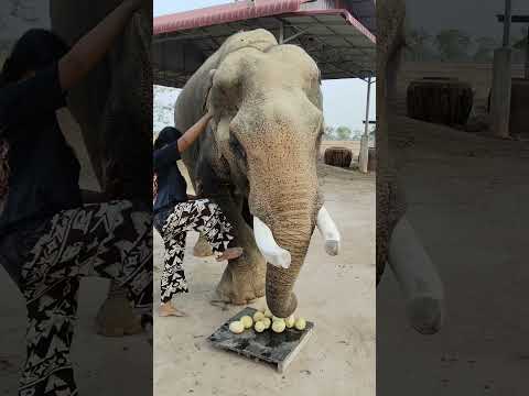 ขอขมาก่อนขึ้น💢