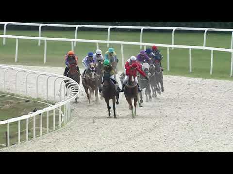 2020.08.16. 04. futam - CAVALLO LOVARDA HENDIKEP (V/b.) (szintetikus pálya)