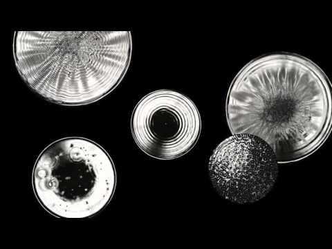 Synodic MOON Frequency (210.42Hz) CYMATICS - Speakers and Water