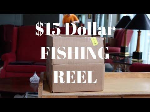 The Best Fishing Reel Under $20!
