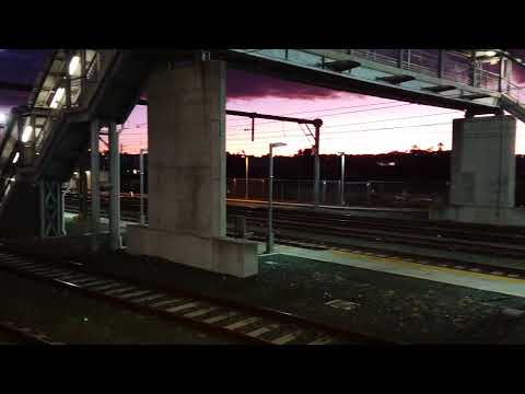 The 3801 shooting past Campbelltown.