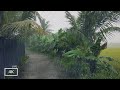 ASMR To Make You Fall Asleep Fast Monsoon Footage India Our Rain Walks Compilation
