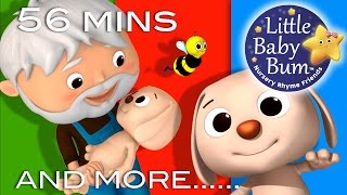 Bingo | Part 2 | Plus Lots More Nursery Rhymes | 56 Minutes Compilation from LittleBabyBum!