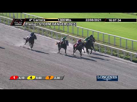 210822 c04 LEOPARDO CAMPEON