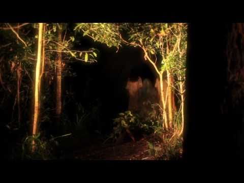 Kyu - Pixiphony (Short Version)