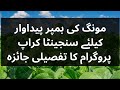 سنجینٹا مونگ کراپ پروگرام تفصیلی جائزہ Review Of Syngenta Mungbean 