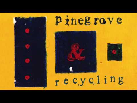 Pinegrove - Recycling