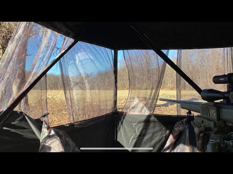 A few days in January. Successful late season deer hunting