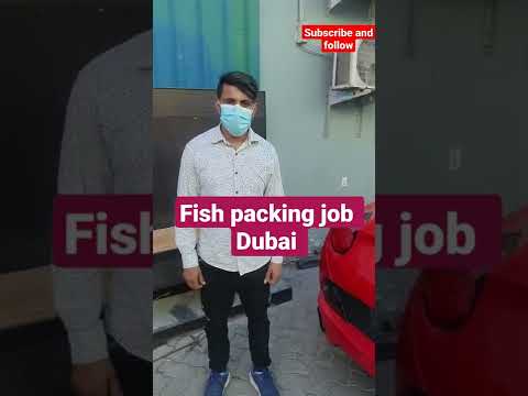 Packing helper job in DUBAI #packinghelper