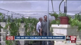 rain:  too much of a good thing?