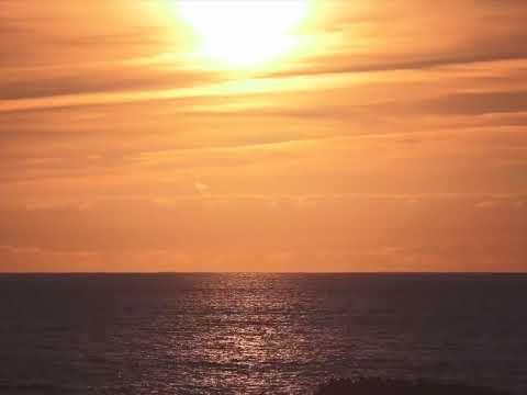 BAILA ESTO DIARIO Y TU VIDA CAMBIARA - PAZ Y AMOR