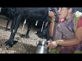 Viral Milk Making