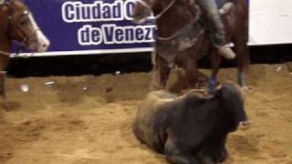 preview picture of video 'toros coleados en la manga de coleo victor manuel sarmiento san juan de los morros (estrenandola)'