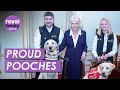 Adorable Medical Detection Dogs Win Over Queen Camilla