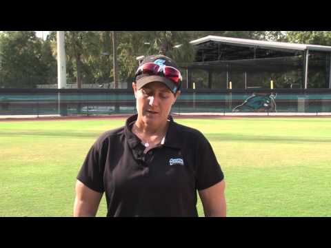 Fall Update: Softball 2015