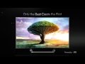 2013 LG ULTRA HD TV