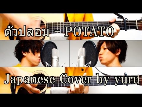 ตัวปลอม - POTATO「Japanese Cover by yuru」
