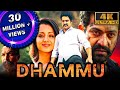 Dhammu 4K Jr NTR Blockbuster Action Movie Trisha Krishnan Karthika Nair Brahmanandam