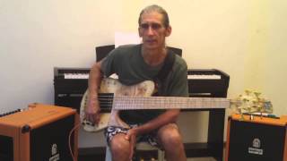 Steve Zerlin talks about SAM and the Summer 2014 Program