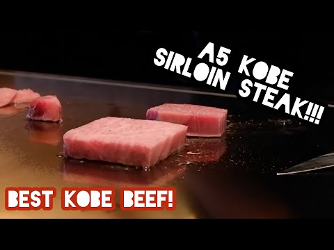 $250 Wagyu Course Meal Kobe Steak Ishida Japan