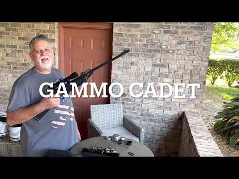 Gamo Airgun comparison old and new model. Which one is the better riffle.