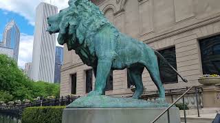 미국 첫 여행으로 시카고 가기 | 1st trip in the US [USA #8]