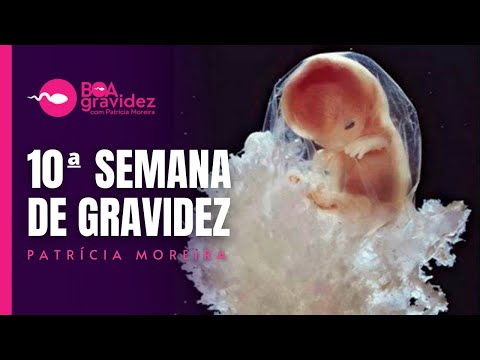 10 WEEKS PREGNANT - Pregnancy Week by Week