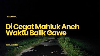 Download lagu TEGANG | DI CEGAT MAHLUK ANEH WAKTU BALIK GAWE mp3