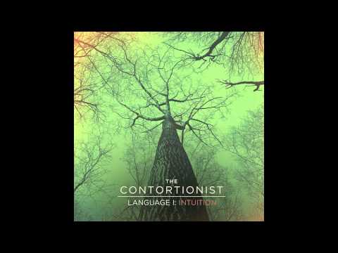 The Contortionist 