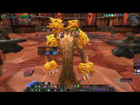 World Of Warcraft: The Burning Crusade Classic - Shade of Aran Boss Fight