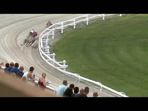 2021.06.25. 01. futam - Derby Day Sprint Elődöntő I. futam