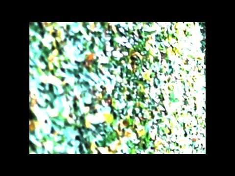 Michigan Misael Music Video