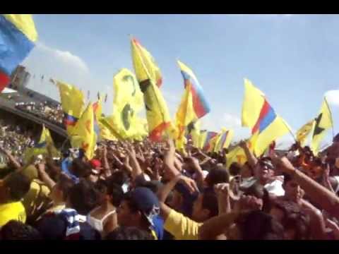 "La Barra azulcrema: Les ganamos a los pumas!" Barra: La Monumental &bull; Club: América